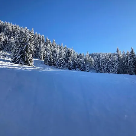 Διαμέρισμα Ariondaz Hellebore - Superbe Expose Sud Au Pied Des Pistes Mae-2554