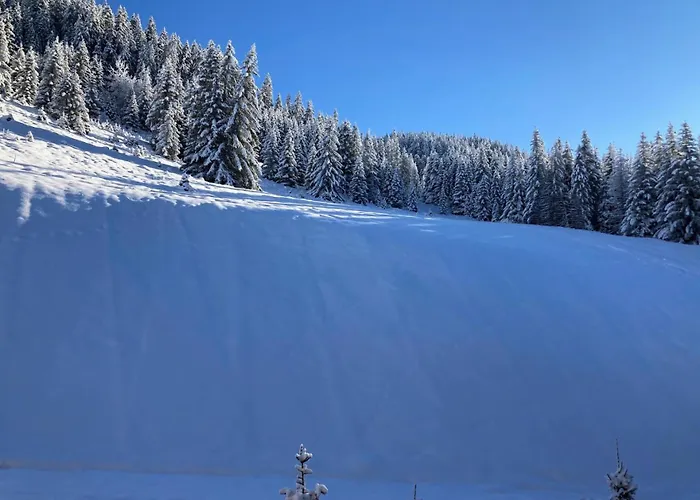 Résidence Ariondaz Hellebore - Superbe Exposé Sud Au Pied Des Pistes Mae-2554 * Courchevel