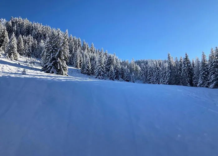 Appartamento Résidence Ariondaz Hellebore - Superbe Exposé Sud Au Pied Des Pistes Mae-2554
