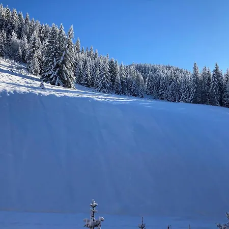 Ariondaz Hellebore - Superbe Expose Sud Au Pied Des Pistes Mae-2554 * Courchevel